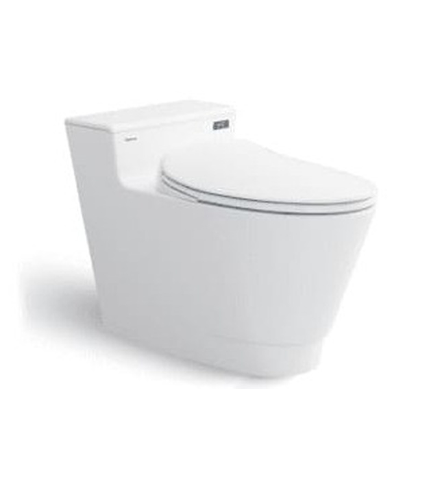 Bồn cầu 1 khối nắp rơi êm Platinum P.10.500