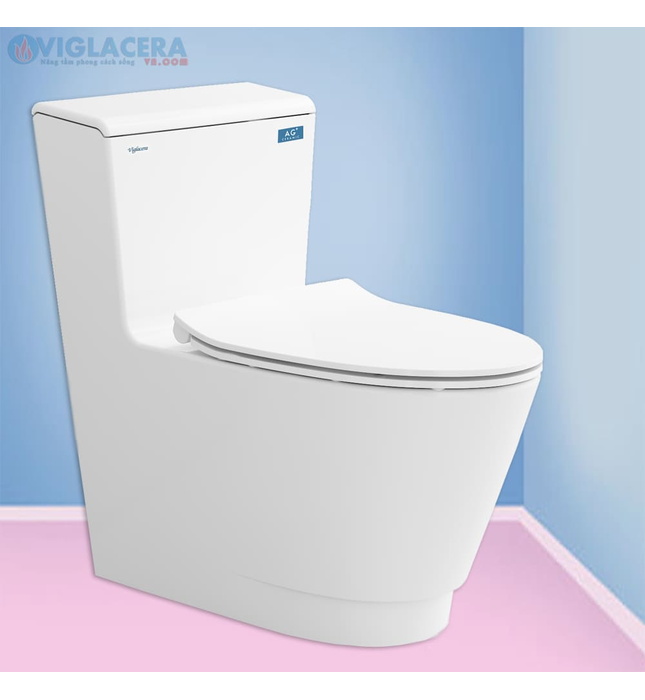 Bồn cầu 1 khối nắp rơi êm Platinum P.11.500