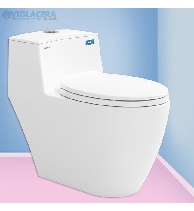 Bồn cầu 1 khối nắp rơi êm Viglacera Eco 1 