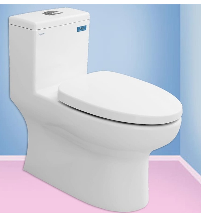 Bồn cầu 1 khối nắp rơi êm Viglacera V809