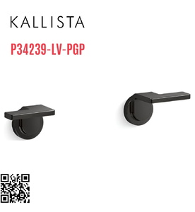 Tay cầm vòi bồn tắm âm tường màu đen Kallista P34239-LV-PGP