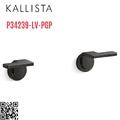 Tay cầm vòi bồn tắm âm tường màu đen Kallista P34239-LV-PGP