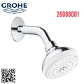 Bát Sen Tắm Gắn Tường Đức Grohe 26088001