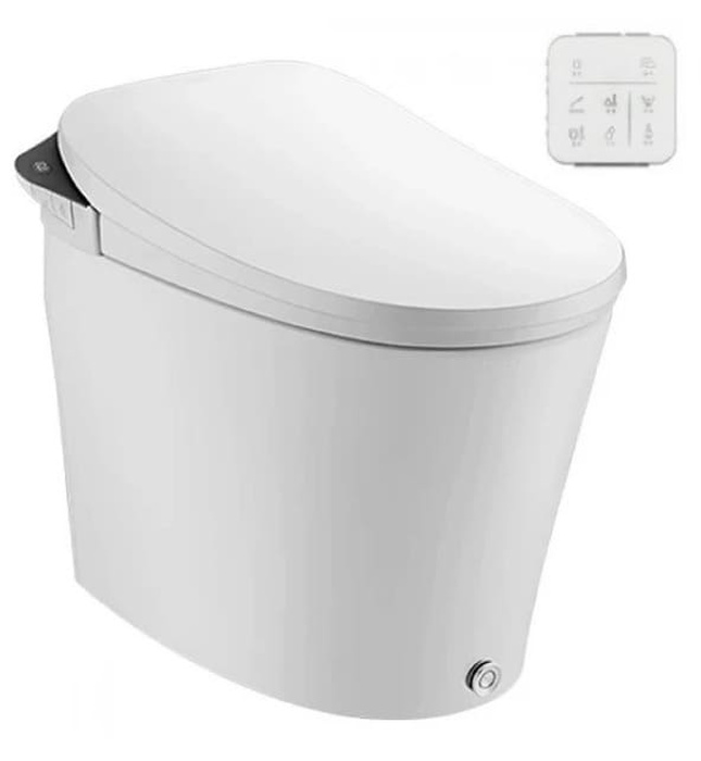 Bồn cầu thông minh Moen HKSW1296C 