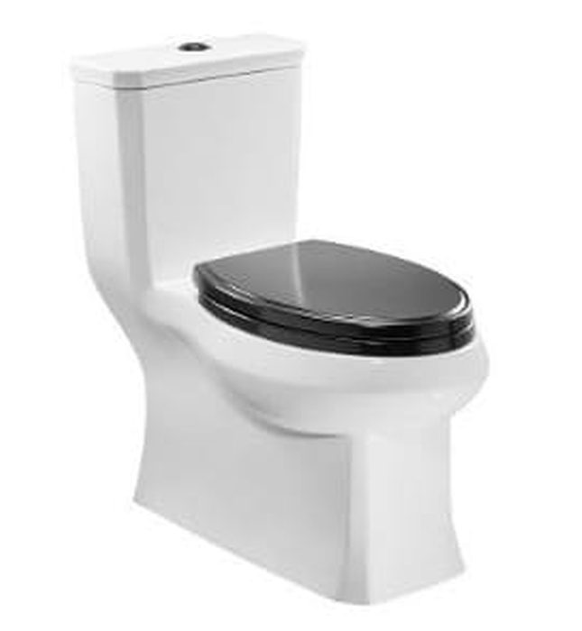 Nắp bàn cầu nhựa rơi êm màu đen Moen SW9332