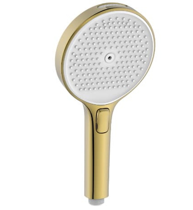 Bát sen tắm đa chức năng Bravat D1249KVF-ENG 