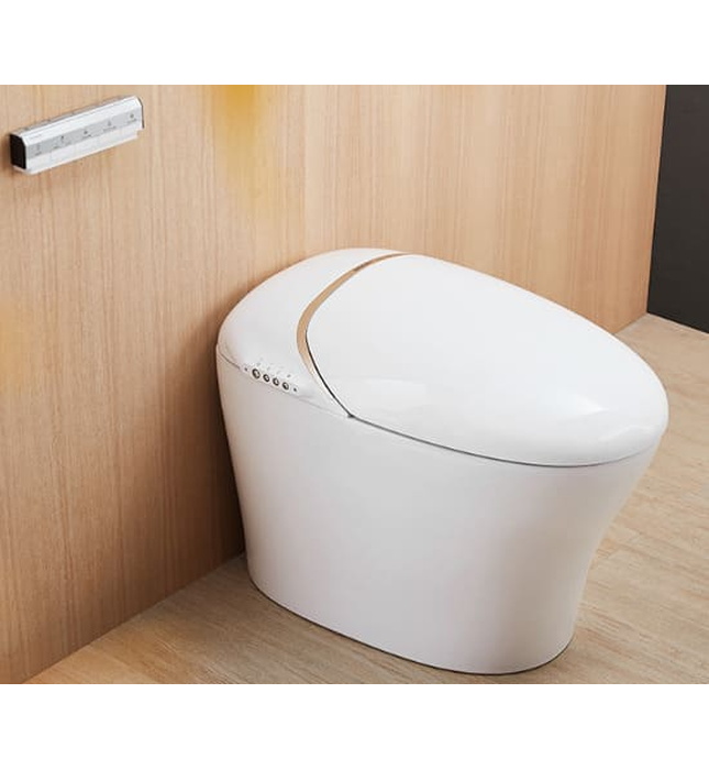 Bồn cầu thông minh BRAVAT C21185W-3CM-VP 