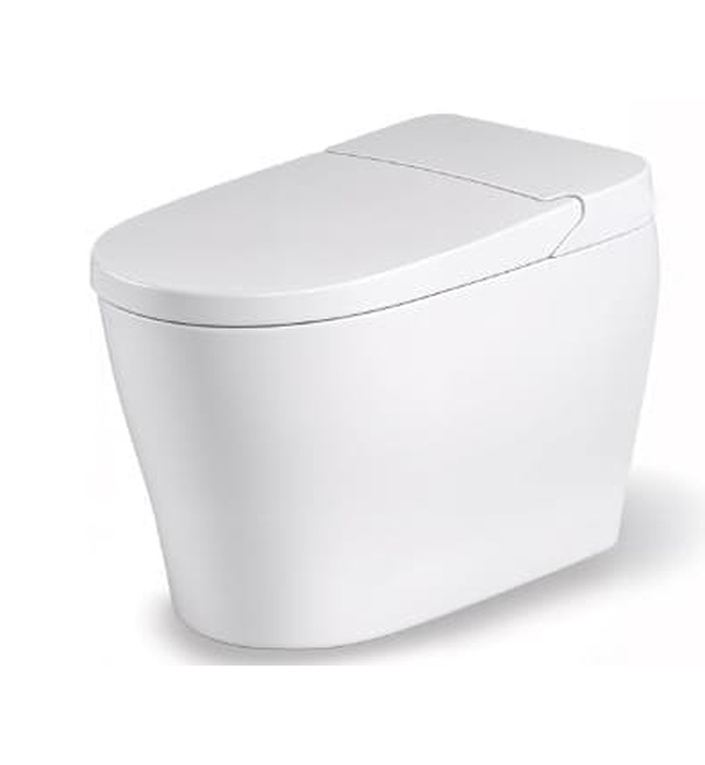 Bồn cầu thông minh BRAVAT C29019W0-3-2-ENG