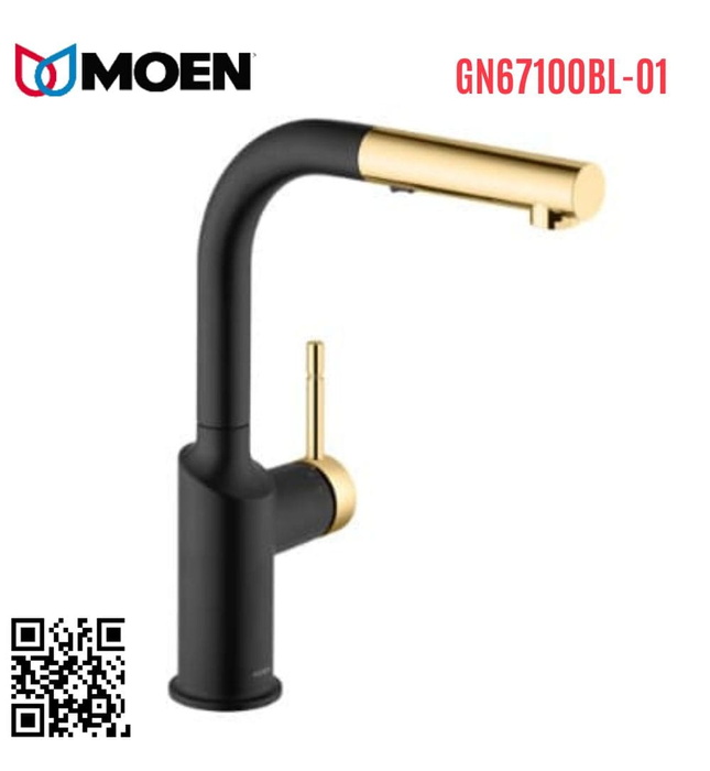 Vòi rửa bát Moen GN67100BL-01