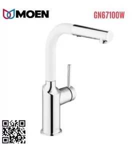 Vòi rửa bát Moen GN67100W
