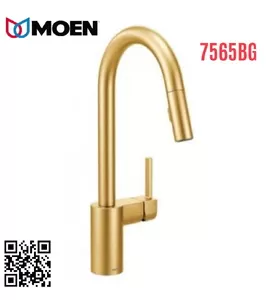 Vòi rửa bát Moen 7565BG