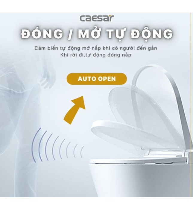 Bồn cầu 1 khối nắp điện tử Caesar C1391F+TAF512H