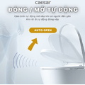 Bồn cầu 1 khối nắp điện tử Caesar C1391F+TAF512H