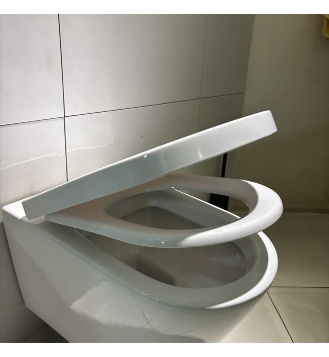 Nắp Êm Bàn Cầu Rơi Êm Caesar M244