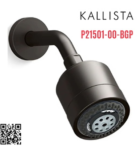 Bát sen tắm và tay sen gắn tường màu đen Kallista P21501-00-BGP