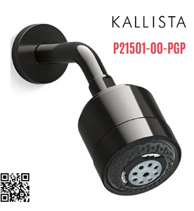 Bát sen tắm và tay sen gắn tường màu đen Kallista P21501-00-PGP