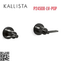Tay cầm vòi bồn tắm âm tường màu đen Kallista P24508-LV-PGP