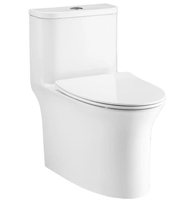 Bàn cầu 1 khối Cotto C11006HOS 