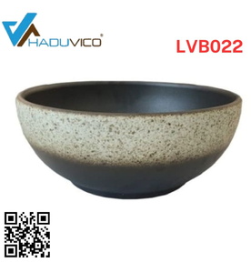 Chậu lavabo dương bàn sứ mỹ thuật Haduvico LVB022