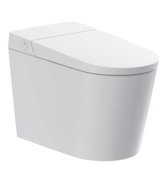 Bệt cảm ứng thông minh Aquatiz G19