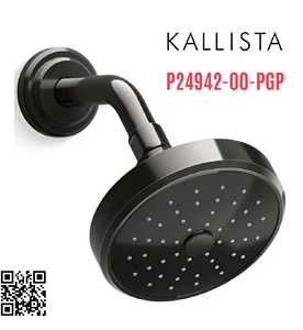 Bát sen tắm và tay sen gắn tường màu đen Kallista P24942-00-PGP