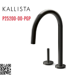 Vòi chậu rửa bát dây rút màu đen Kallista P25200-00-PGP