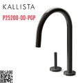 Vòi chậu rửa bát dây rút màu đen Kallista P25200-00-PGP