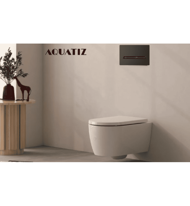 Mặt nạ xả nhấn bồn cầu âm tường Aquatiz G3004131B