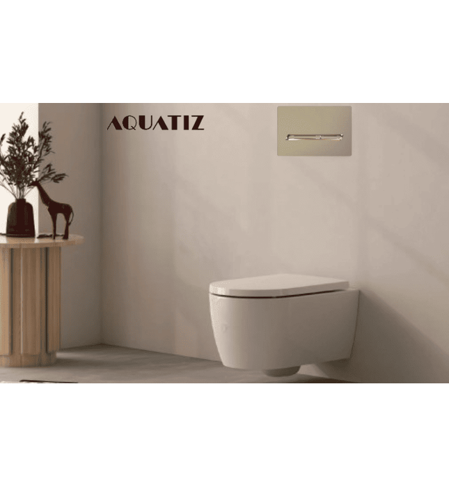 Mặt nạ xả nhấn bồn cầu âm tường Aquatiz G3004131GO