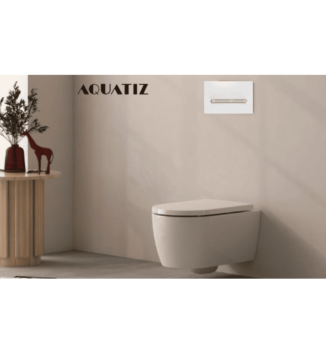 Mặt nạ xả nhấn bồn cầu âm tường Aquatiz G3004131W