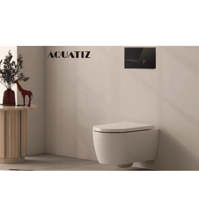 Mặt nạ xả nhấn bồn cầu âm tường Aquatiz G3100051B