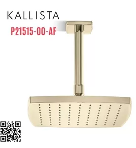 Bát sen tắm phun mưa eco vuông màu vàng Kallista P21515-00-AF