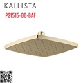Bát sen tắm phun mưa eco vuông màu vàng Kallista P21515-00-BAF
