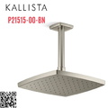 Bát sen tắm phun mưa eco vuông màu nickel Kallista P21515-00-BN