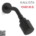 Bát sen tắm và tay sen gắn tường màu đen Kallista P24482-00-BL