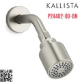 Bát sen tắm và tay sen gắn tường màu nickel Kallista P24482-00-BN