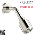 Bát sen tắm và tay sen gắn tường màu nickel Kallista P24482-00-SN