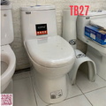 Bồn cầu Thái Bình 1 khối nắp êm TÂM THOÁT 27CM TB27
