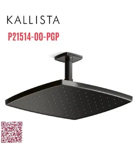 Bát sen tắm phun mưa vuông màu đen Kallista P21514-00-PGP