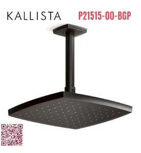 Bát sen tắm phun mưa eco vuông màu đen Kallista P21515-00-BGP