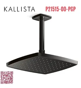Bát sen tắm phun mưa eco vuông màu đen Kallista P21515-00-PGP