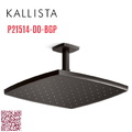 Bát sen tắm phun mưa vuông màu đen Kallista P21514-00-BGP