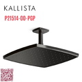 Bát sen tắm phun mưa vuông màu đen Kallista P21514-00-PGP