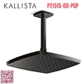Bát sen tắm phun mưa eco vuông màu đen Kallista P21515-00-PGP
