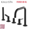 Vòi bồn tắm có vòi sen cầm tay màu đen Kallista P32831-00-BL