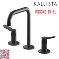 Vòi chậu rửa mặt nóng lạnh màu đen Mỹ Kallista P33349-LV-BL