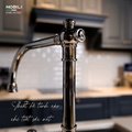 Vòi bếp nóng lạnh tân cổ điển Italy Nobili Charlie NB254 (CH75513CR)