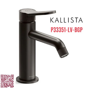 Vòi chậu rửa mặt cổ thấp hiện đại màu đen Kallista P33351-LV-BGP