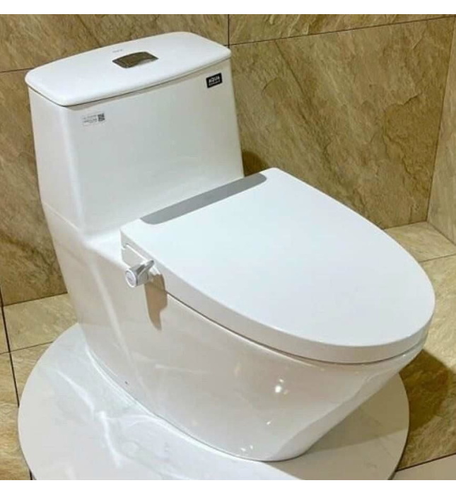 Nắp bàn cầu kết hợp vòi xịt rửa cơ Inax CW-S32VN-1