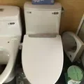 Nắp bàn cầu kết hợp vòi xịt rửa cơ Inax CW-S32VN-1